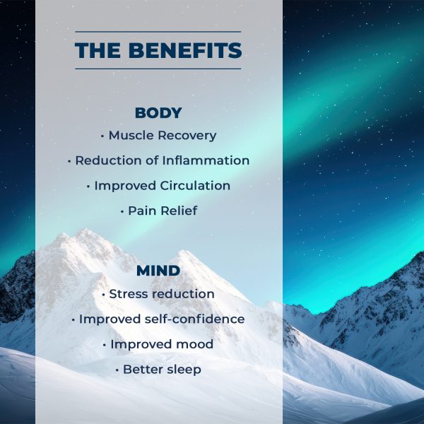 NetSpa Järvi Icebath Wellness – Récupération & Bien-être – Image 11