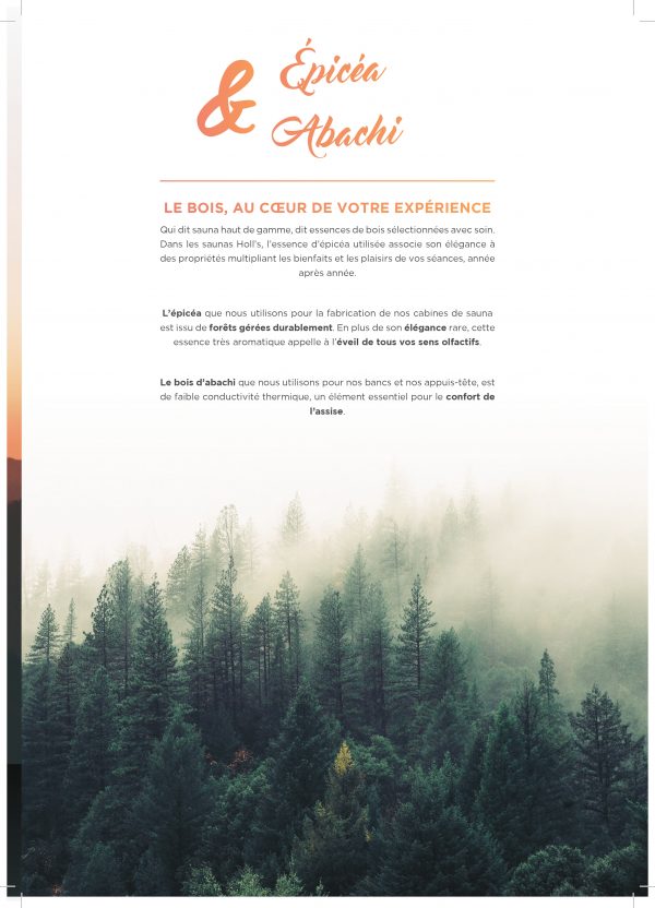 Sauna Vapeur Utopia – Cabine Traditionnelle & Luxe 2 à 6 places – Image 10